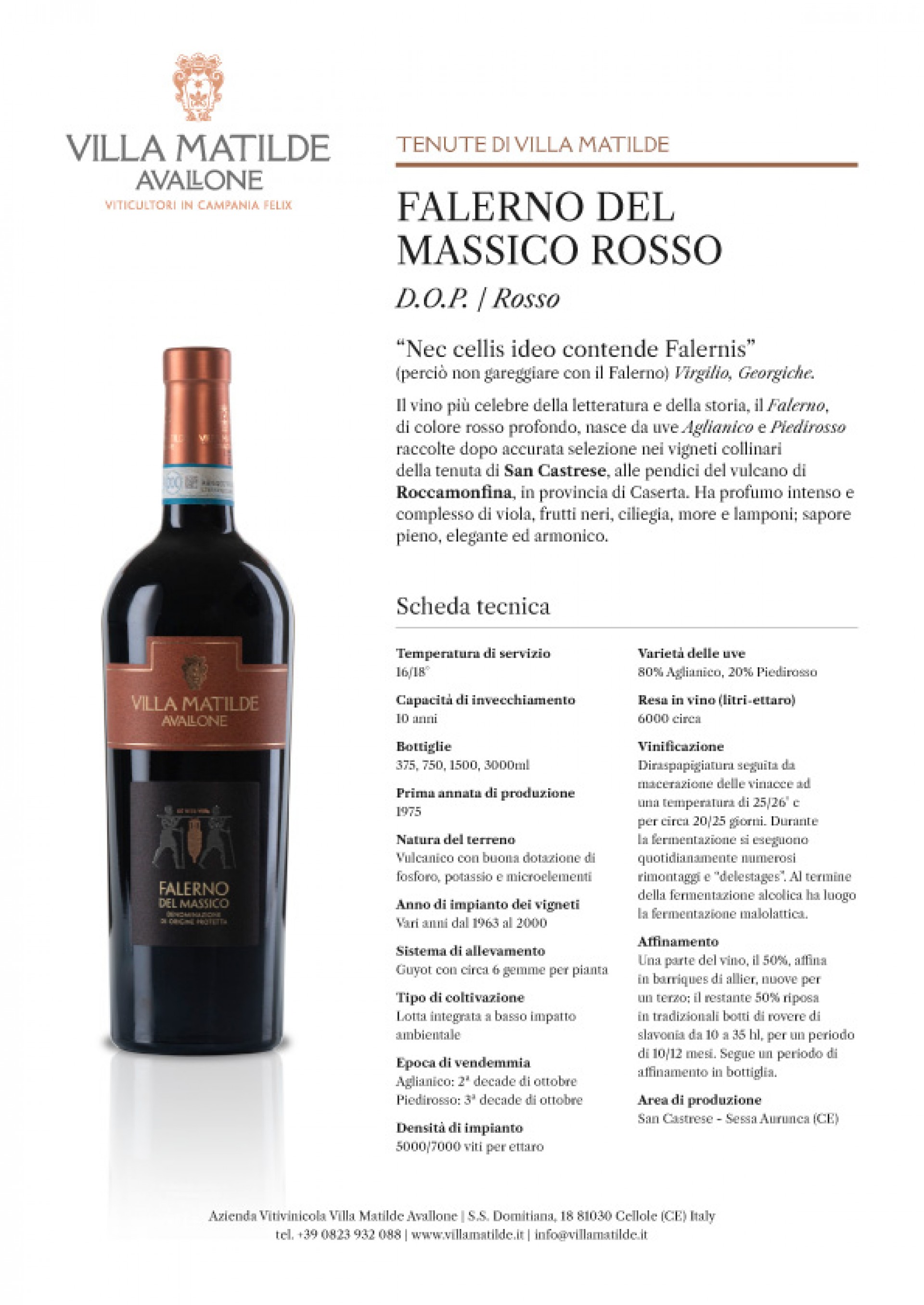 Falerno del Massico Rosso